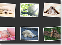 Creating a PostcardViewer gallery